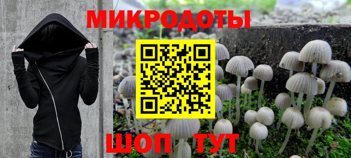 Можга  Псилоцибиновые грибы MAGIC MUSHROOMS  Вход с VPN 